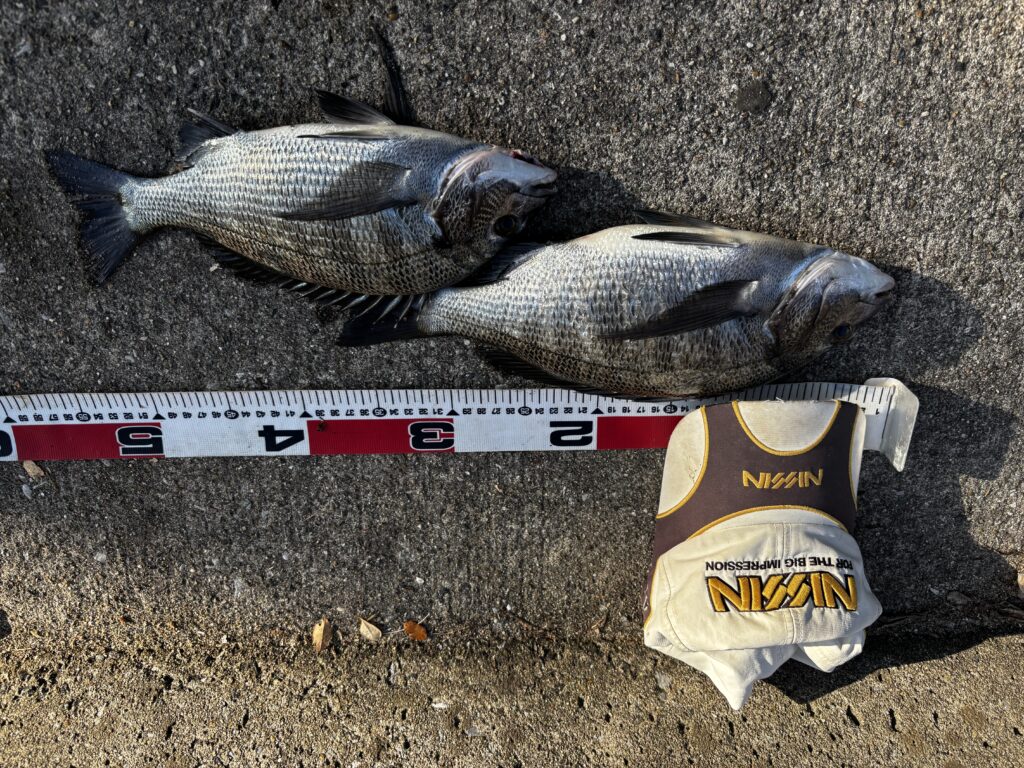 T&A中村輝夫様のレポート