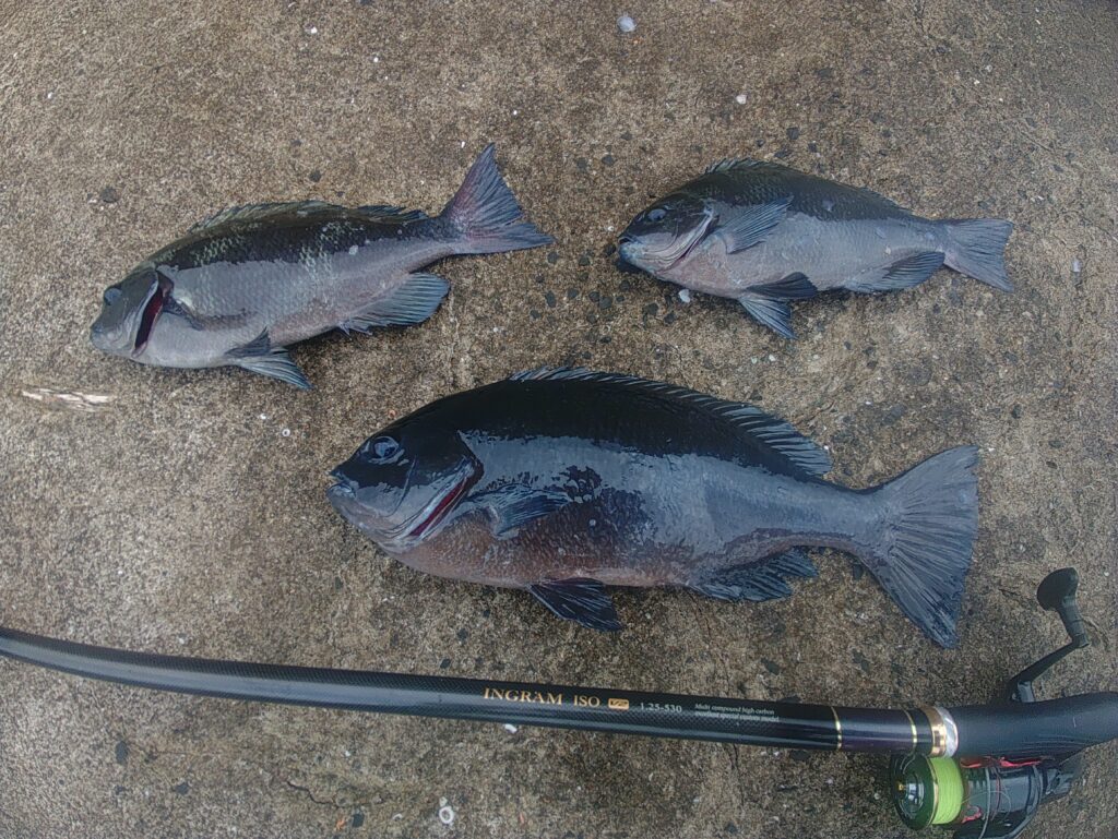 江口龍一様のレポート