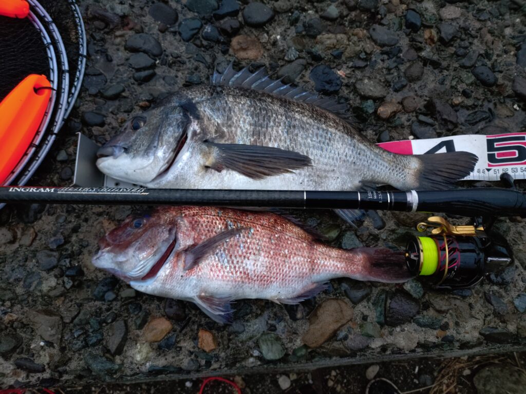 一ツ谷英輝様のレポート