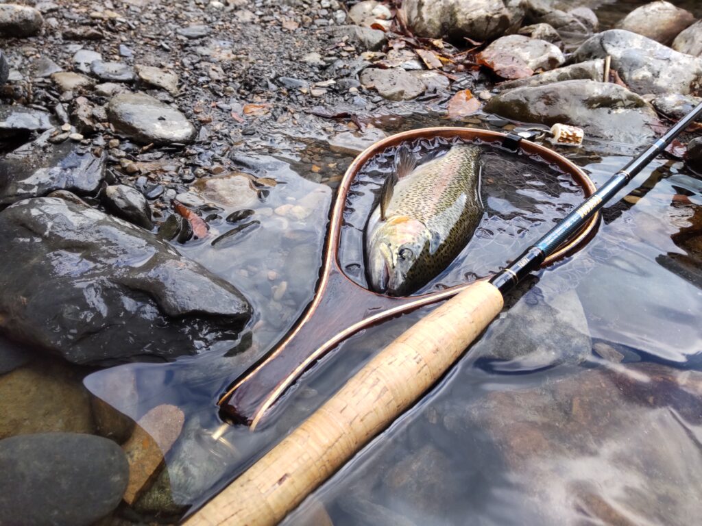 渓s’custom様のレポート