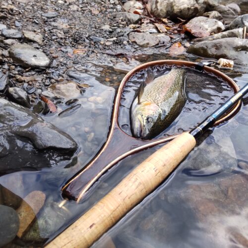 渓s’custom様のレポート