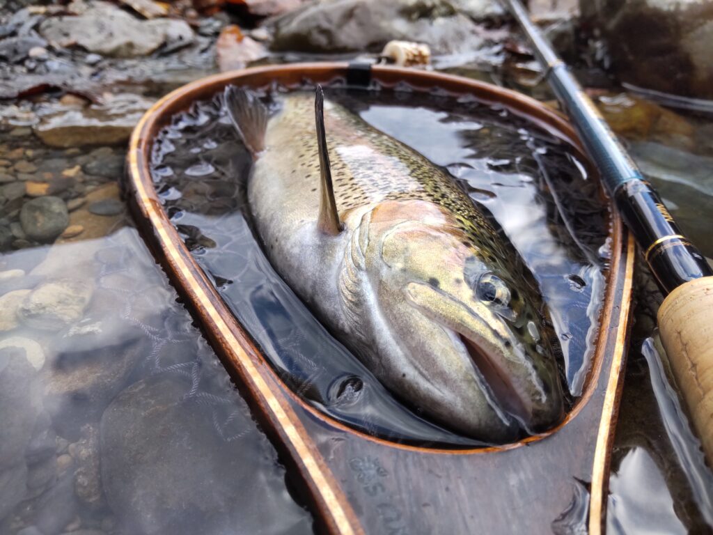 渓s’custom様のレポート