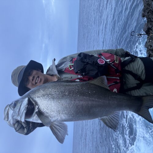 T＆A白澤政記様のレポート