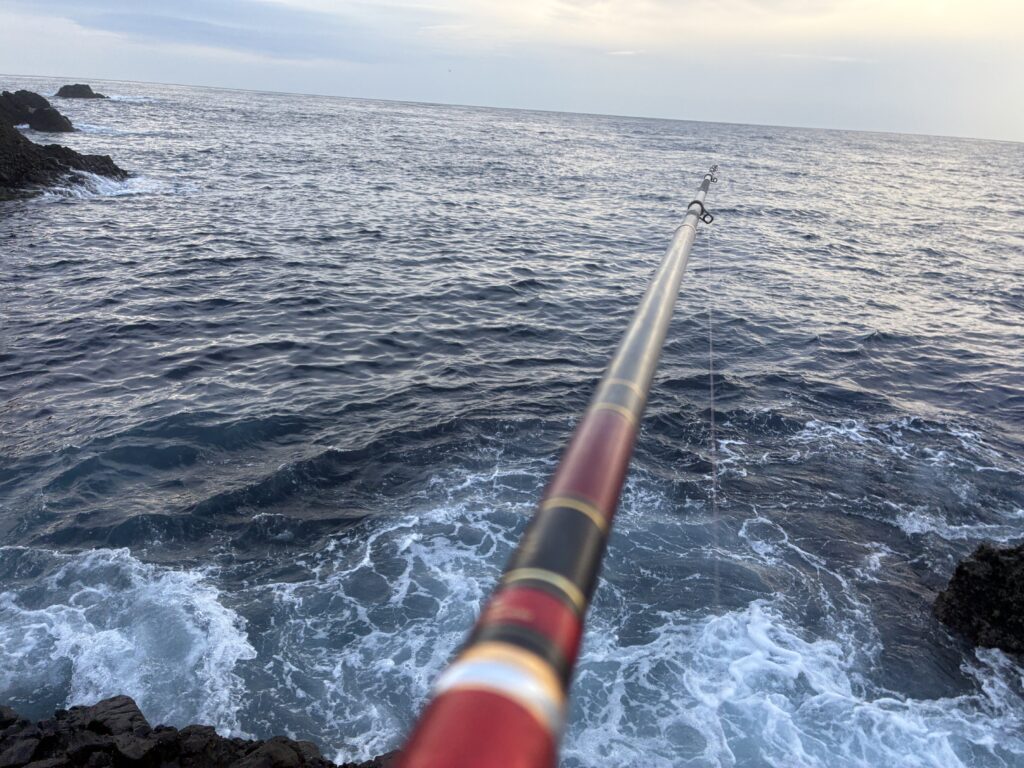 T＆A白澤政記様のレポート