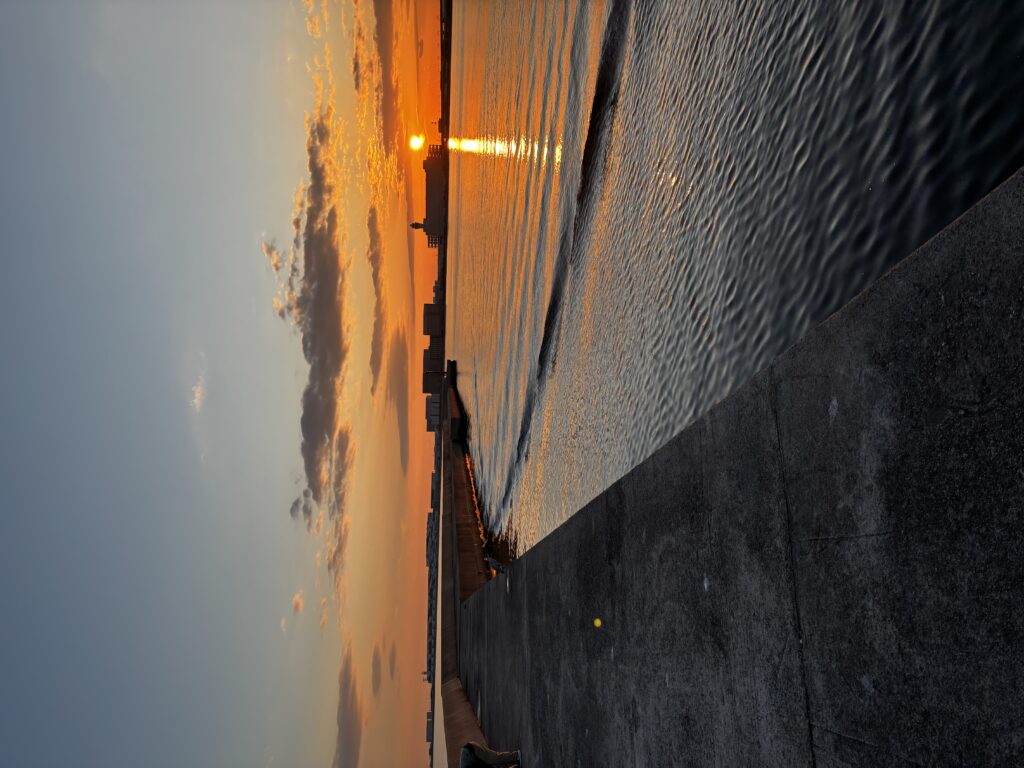 T&A中村輝夫様のレポート