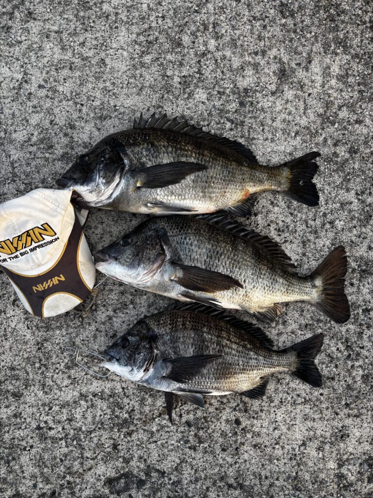 T&A中村輝夫様のレポート