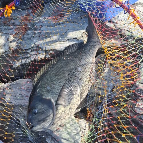 福山智樹様のレポート