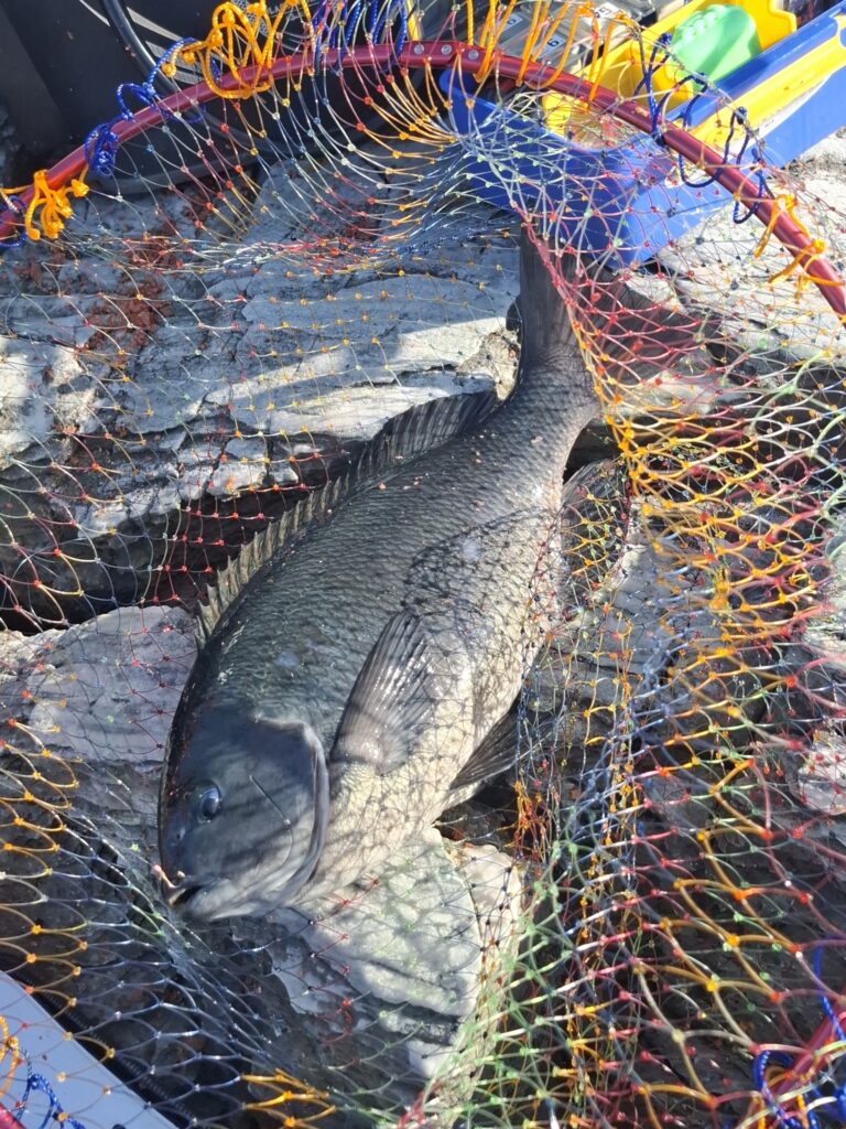 福山智樹様のレポート