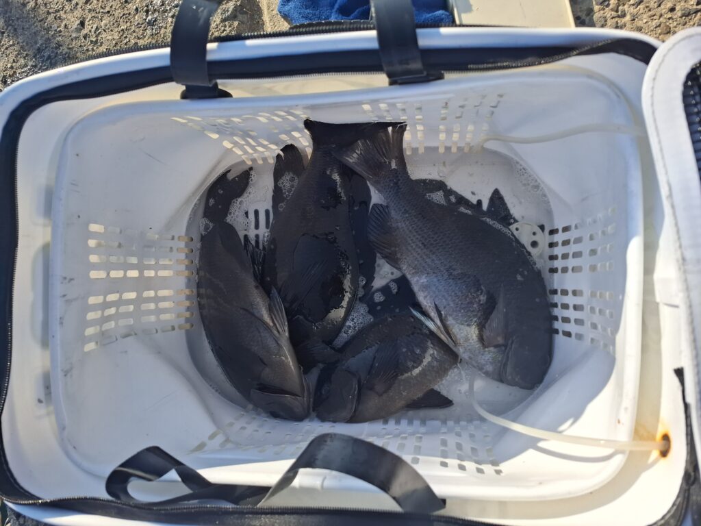 福山智樹様のレポート