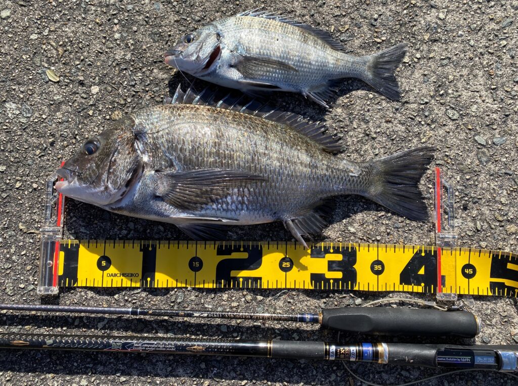 yakisoumenn様のレポート