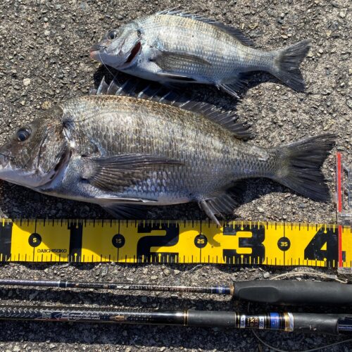 yakisoumenn様のレポート