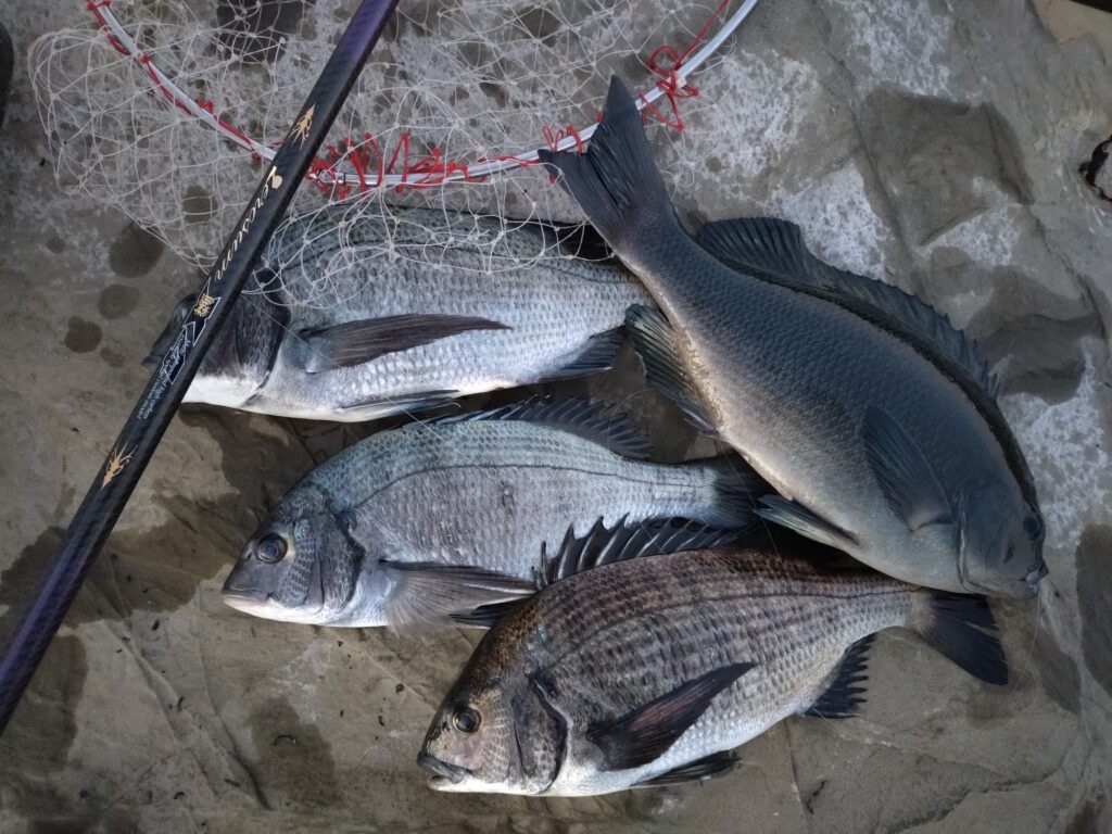 ゆーすけ様のレポート