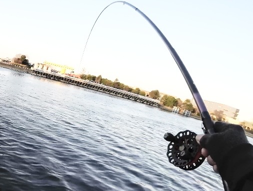 チーム風様のレポート