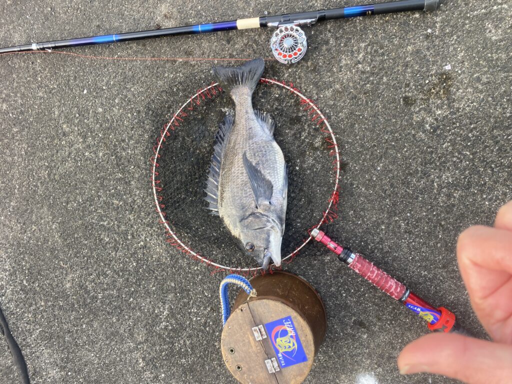 nomsan様のレポート