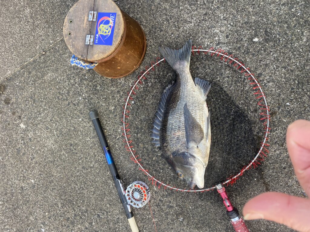 nomsan様のレポート