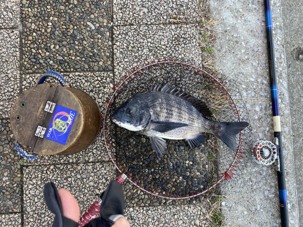 nomsan様のレポート