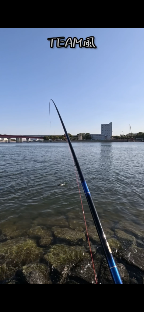 nomsan様のレポート