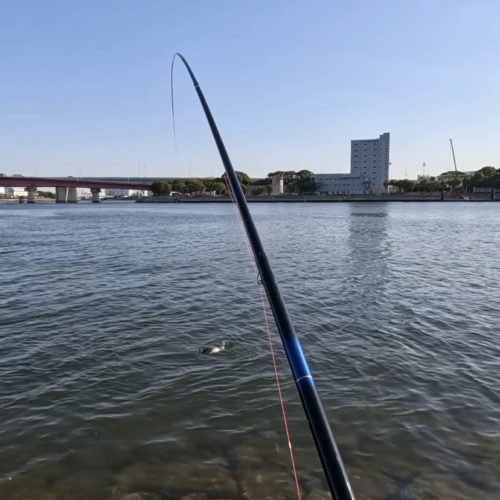 nomsan様のレポート