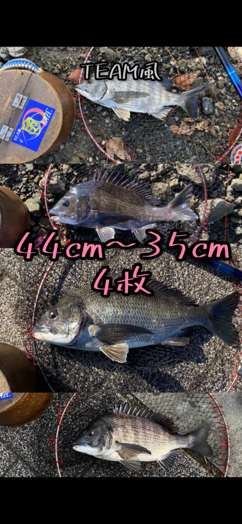 nomsan様のレポート