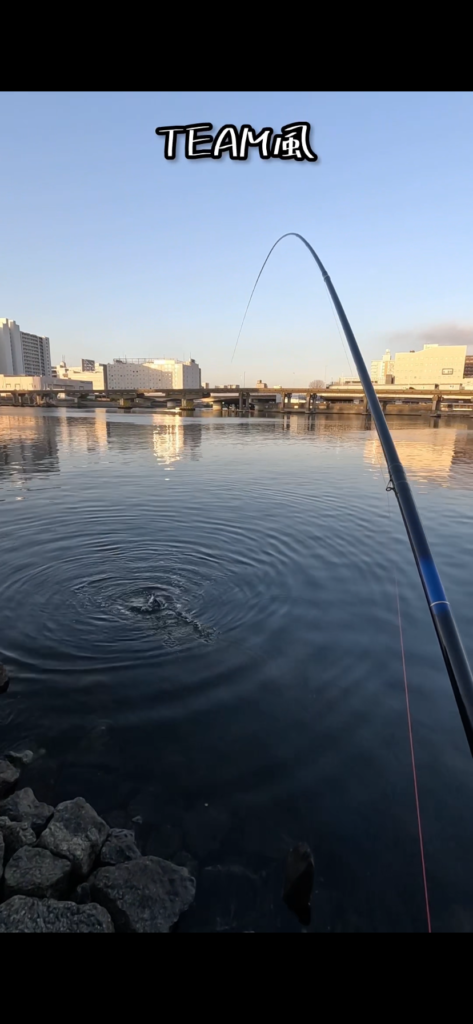 nomsan様のレポート