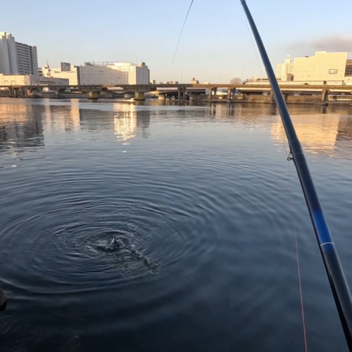 nomsan様のレポート