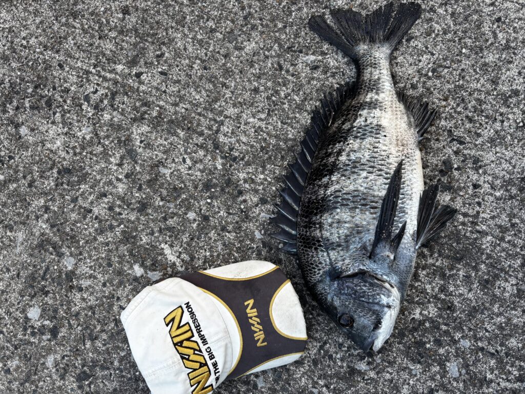 T&A中村輝夫様のレポート