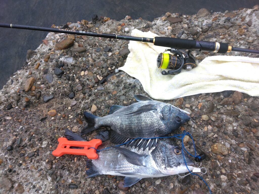 ダンゴ職人様のレポート