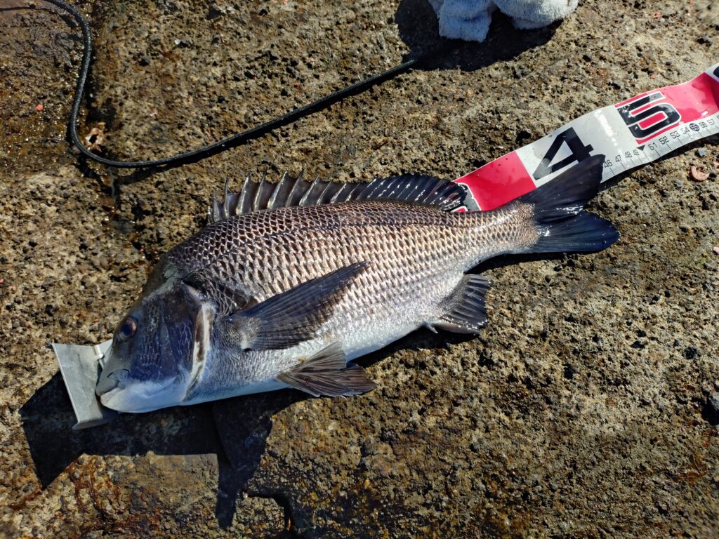 一ツ谷英輝様のレポート
