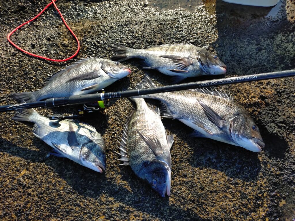 一ツ谷英輝様のレポート