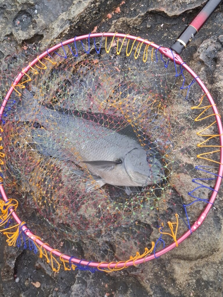 福山智樹様のレポート