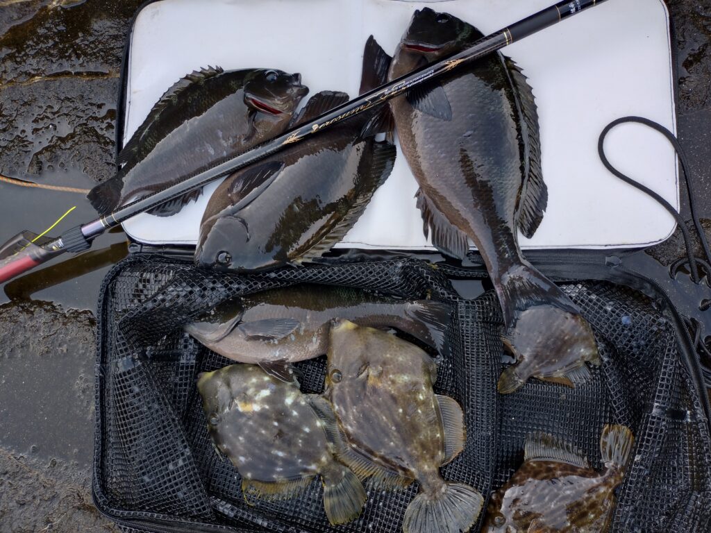 ゆーすけ様のレポート