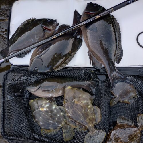 ゆーすけ様のレポート