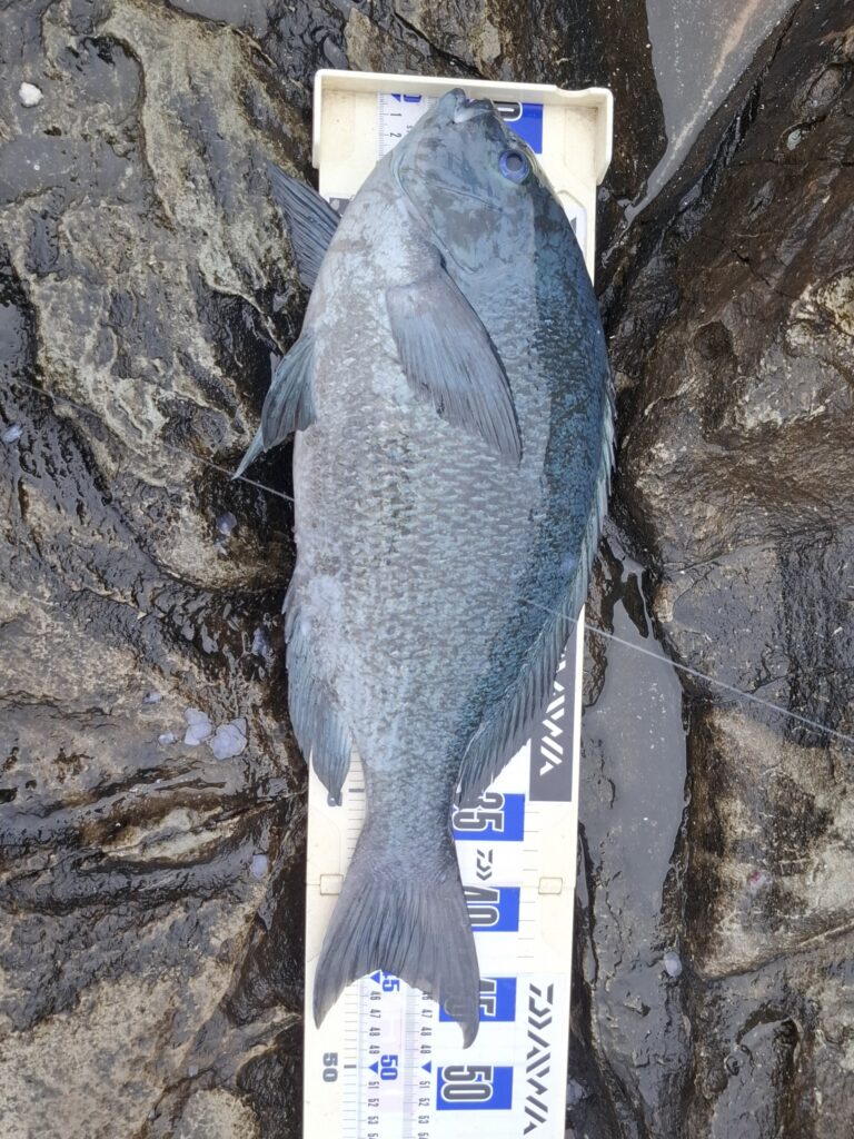 福山智樹様のレポート