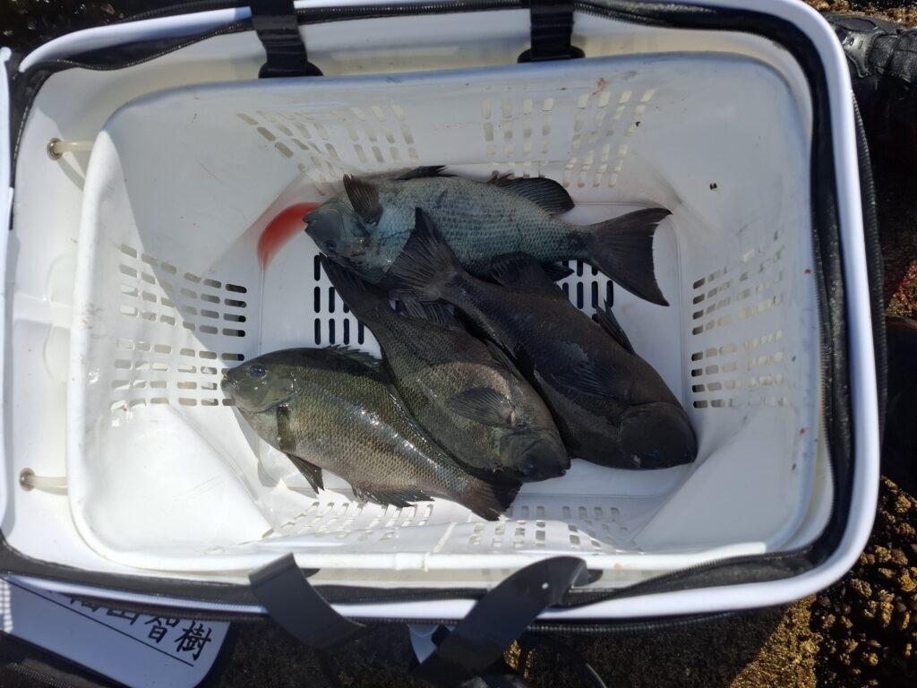 福山智樹様のレポート