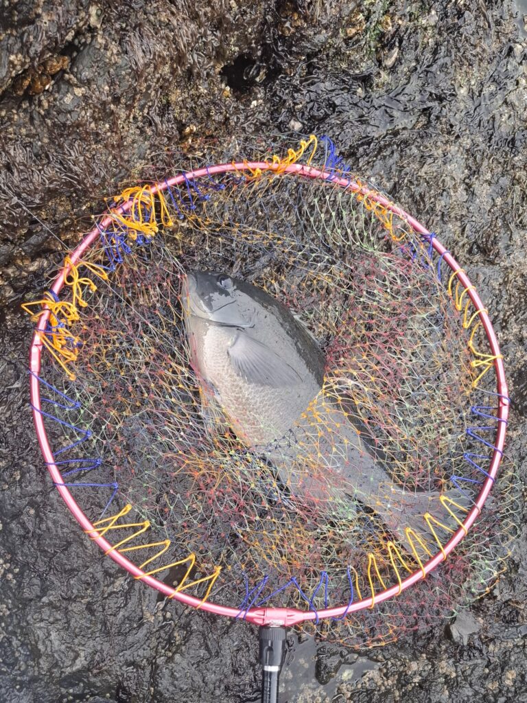 福山智樹様のレポート