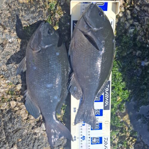 福山智樹様のレポート