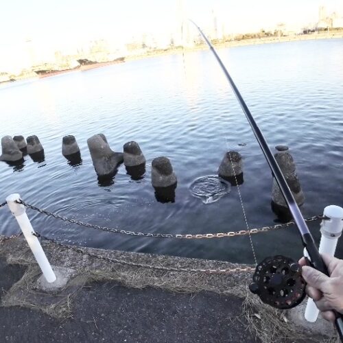 チーム風様のレポート