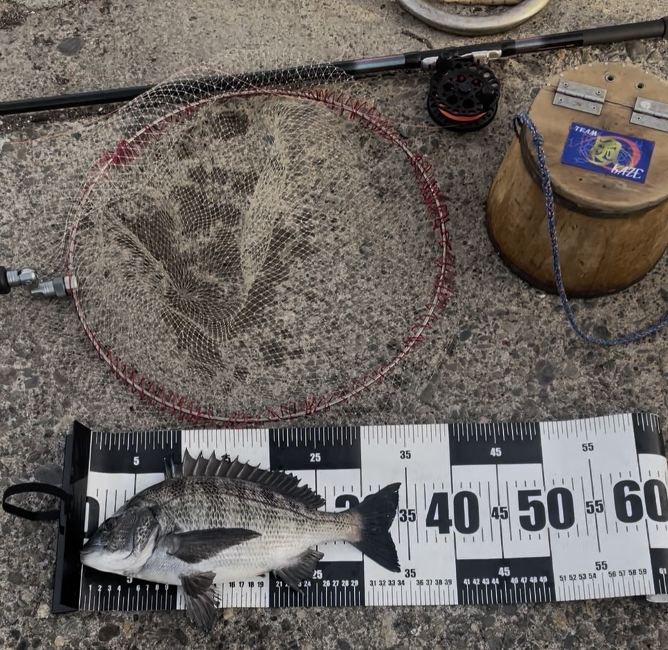 チーム🌪️様のレポート