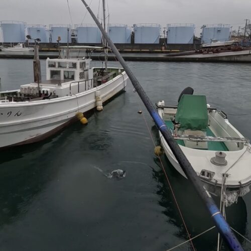 nomsan様のレポート