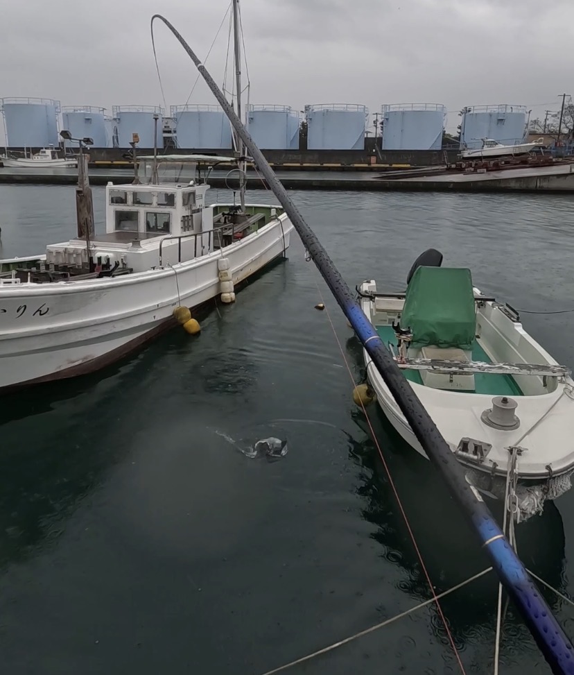 nomsan様のレポート