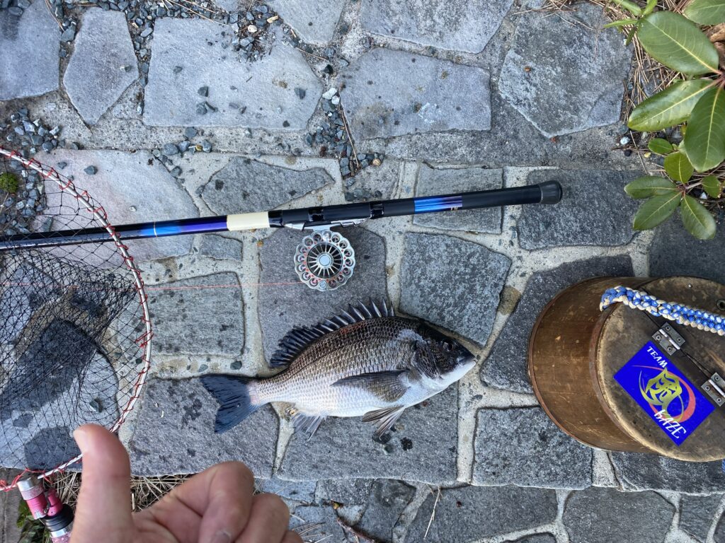 nomsan様のレポート