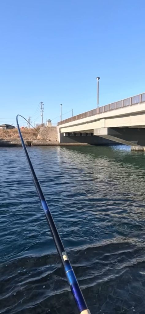 nomsan様のレポート