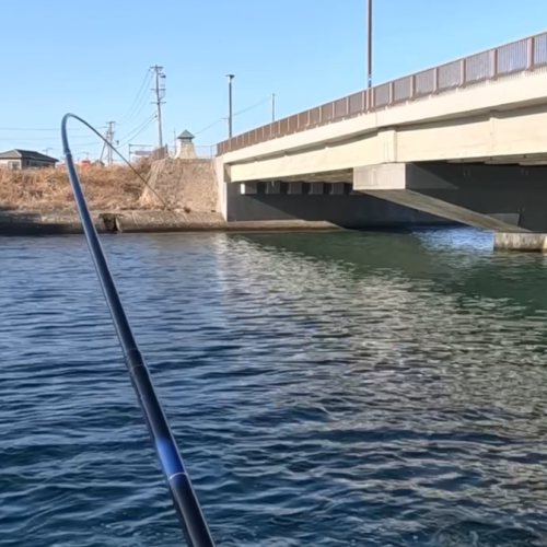 nomsan様のレポート