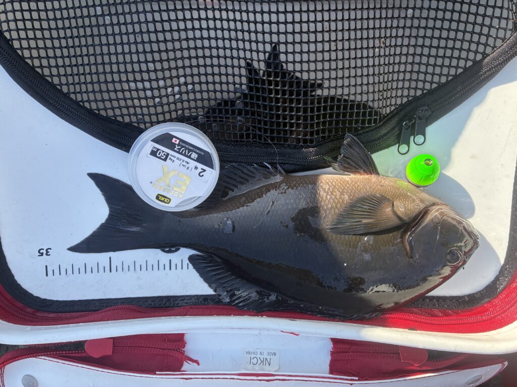 T＆A白澤政記様のレポート