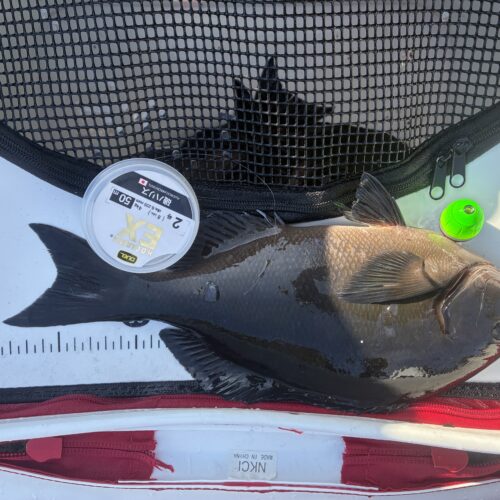 T＆A白澤政記様のレポート