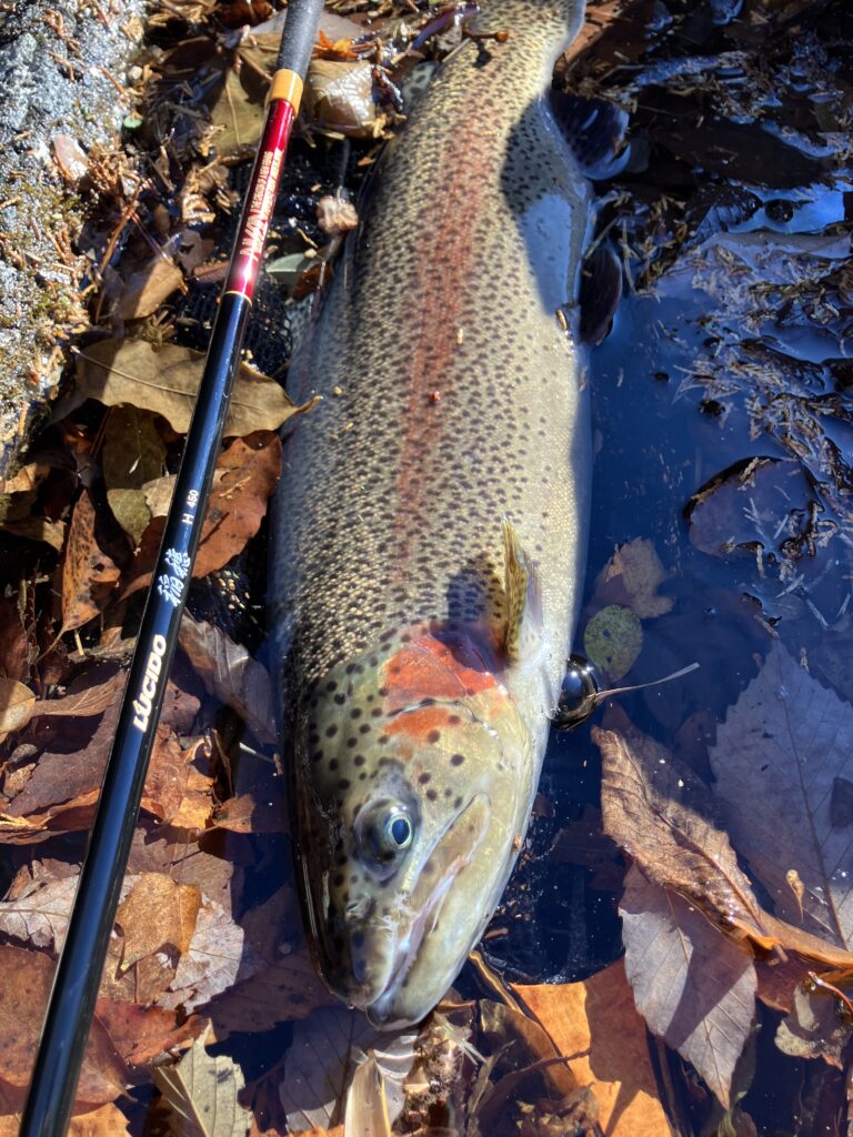 18様のレポート