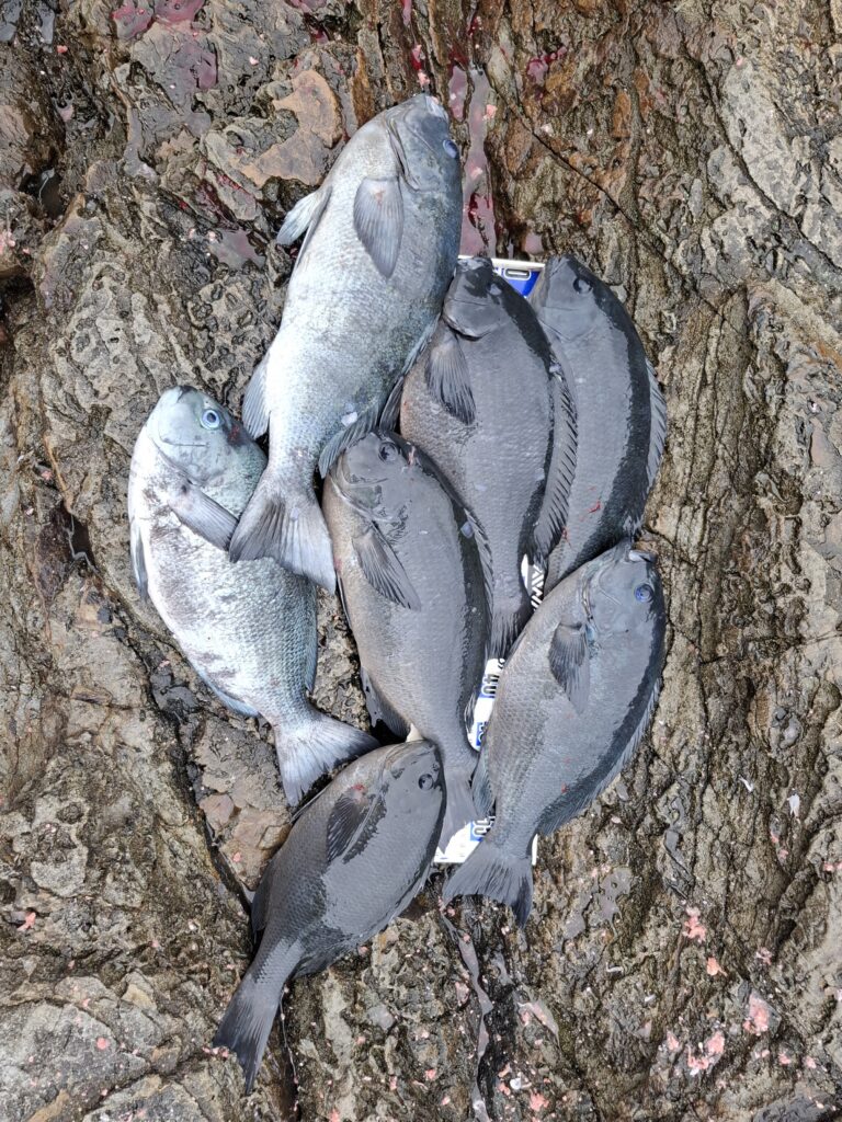 福山智樹様のレポート