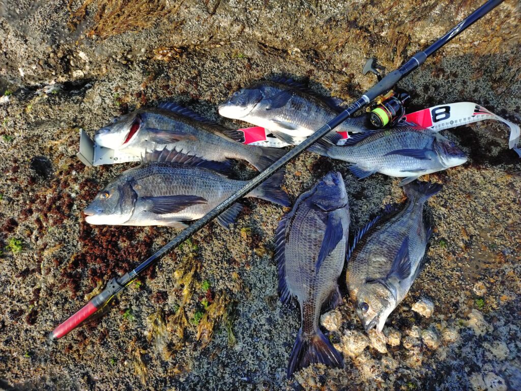 一ツ谷英輝様のレポート