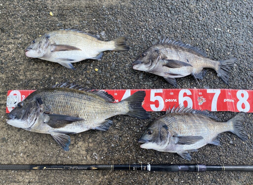 yakisoumenn様のレポート