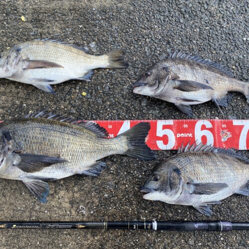 yakisoumenn様のレポート